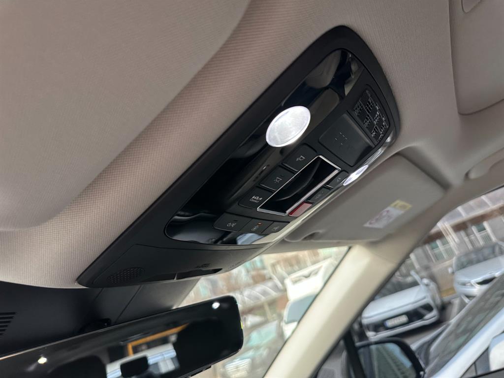 KIA Carnival - Vista 12