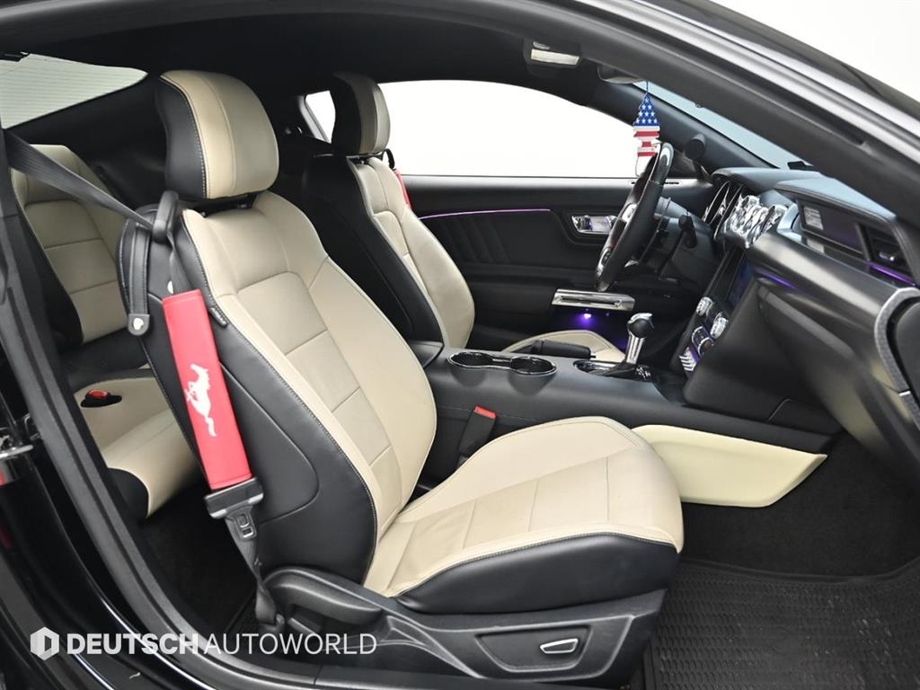 Ford Mustang - Vista 4