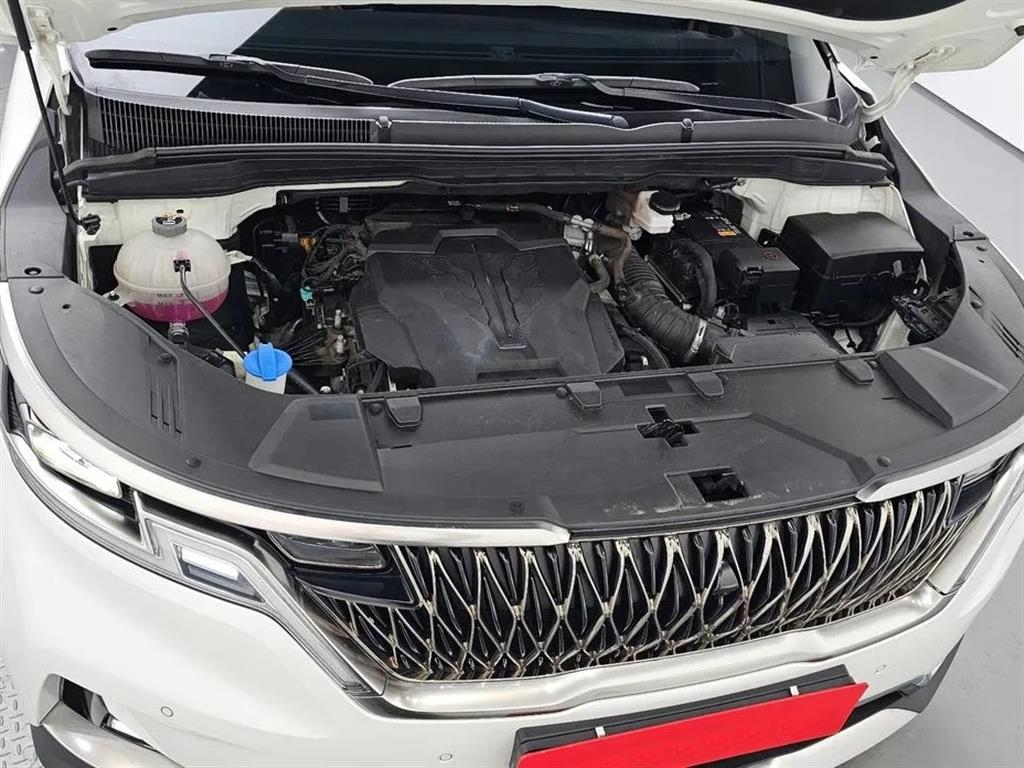 KIA Carnival - Vista 6