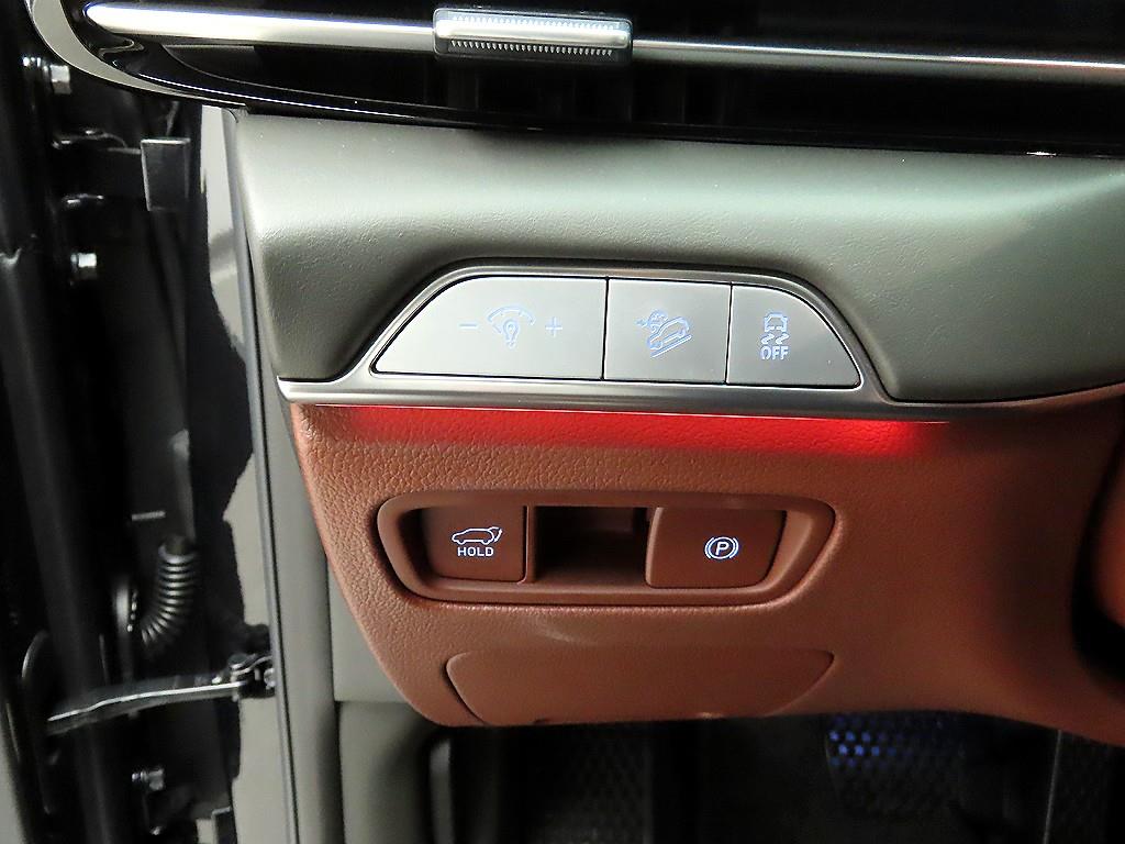 Genesis GV80 - Vista 12