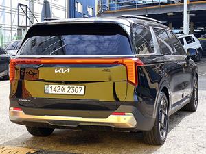 KIA Carnival - Vista 8