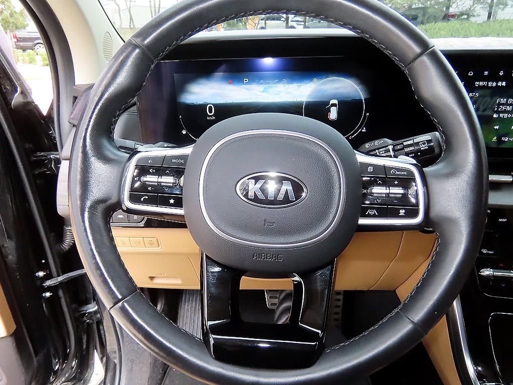 KIA Carnival - Vista 9