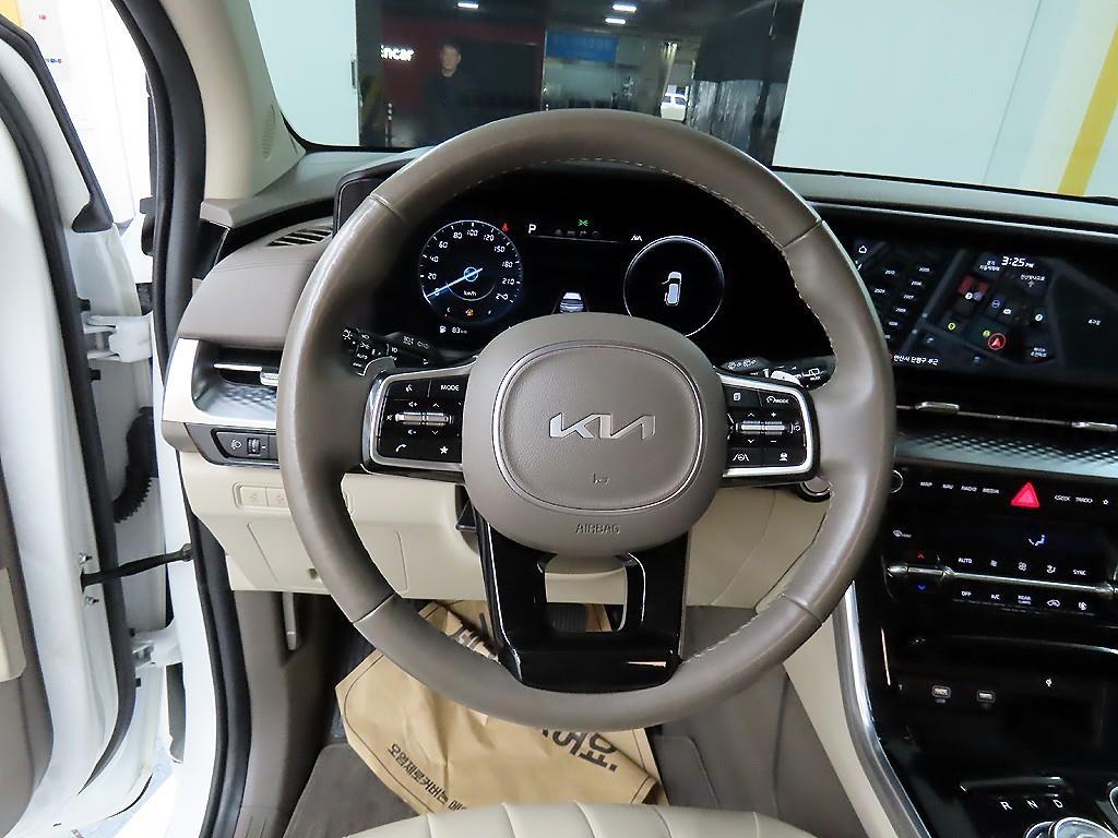 KIA Carnival - Vista 9