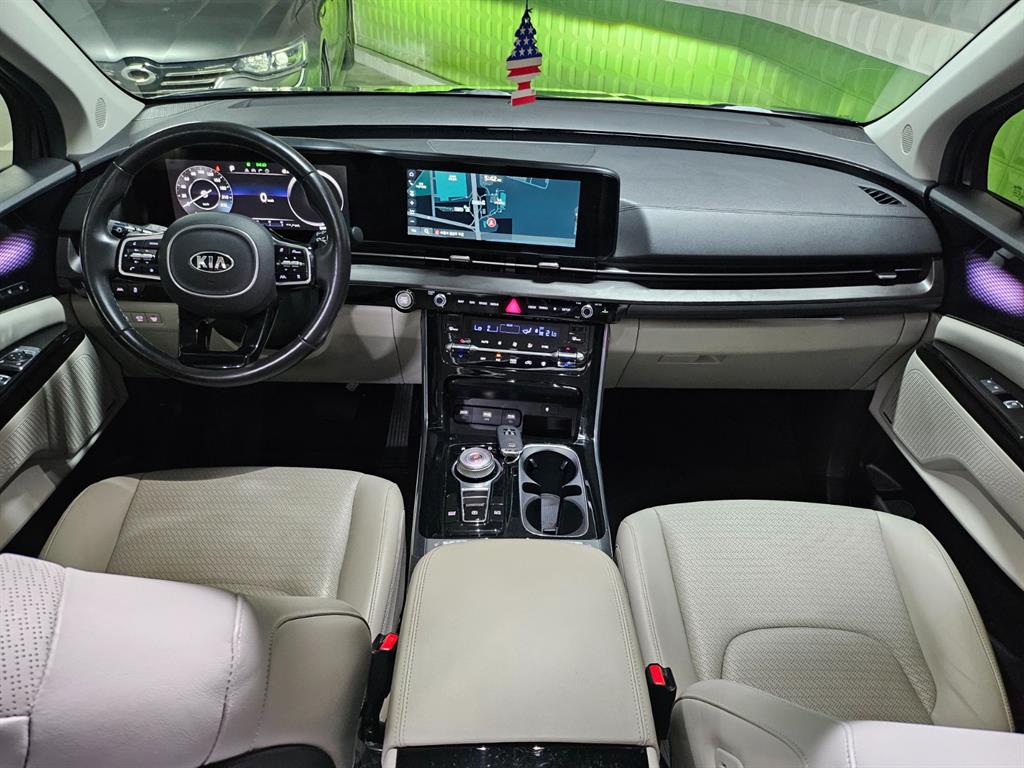 KIA Carnival - Vista 8