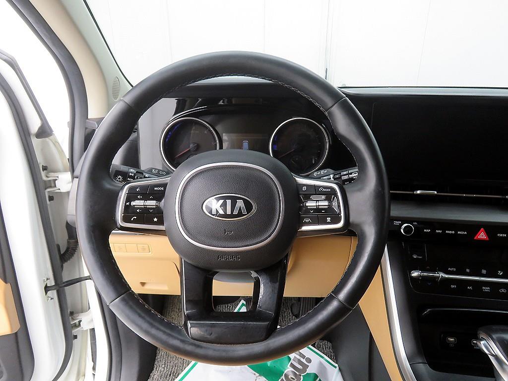 KIA Carnival - Vista 12