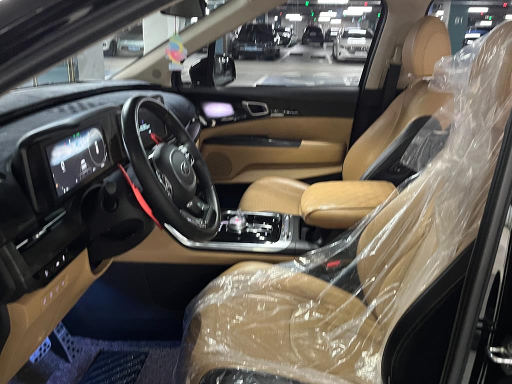 KIA Carnival - Vista 9