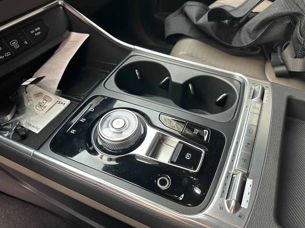 KIA Carnival - Vista 9