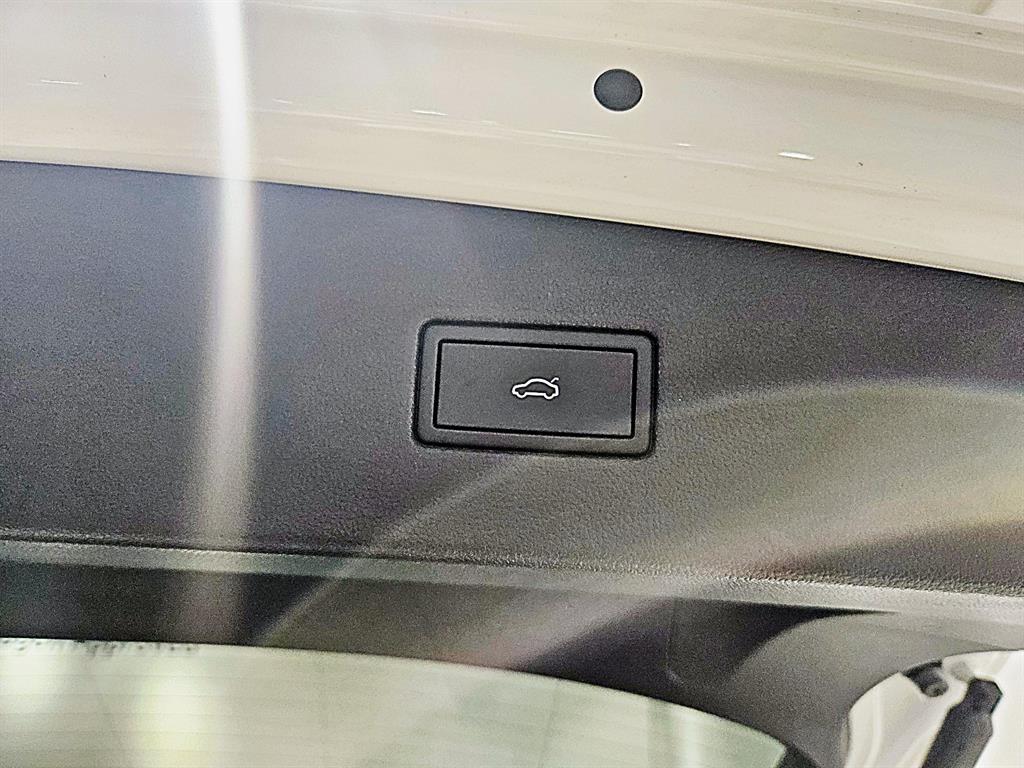 Volkswagen Tiguan - Vista 9