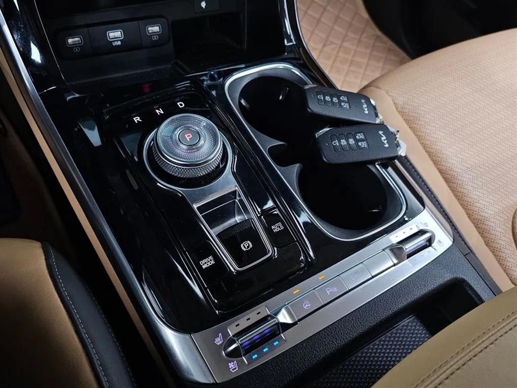 KIA Carnival - Vista 9