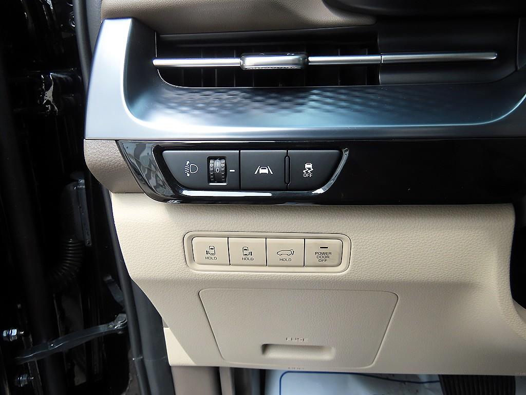 KIA Carnival - Vista 12