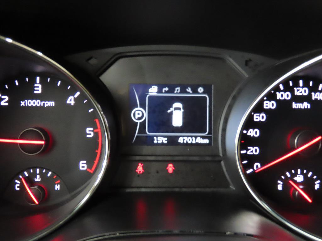 KIA Carnival - Vista 8