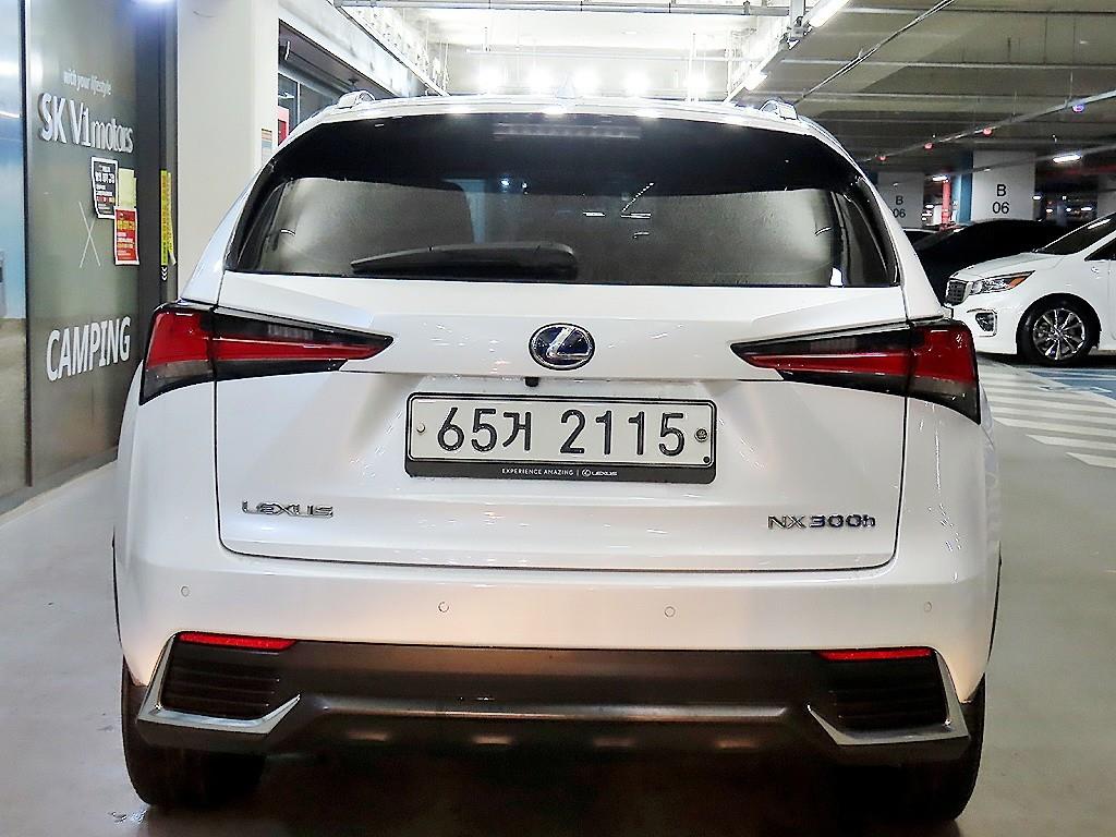 Lexus NX - Vista 5
