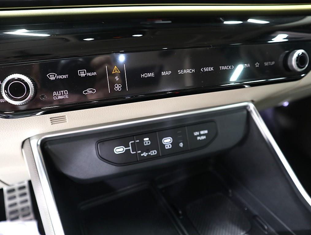 KIA Carnival - Vista 12