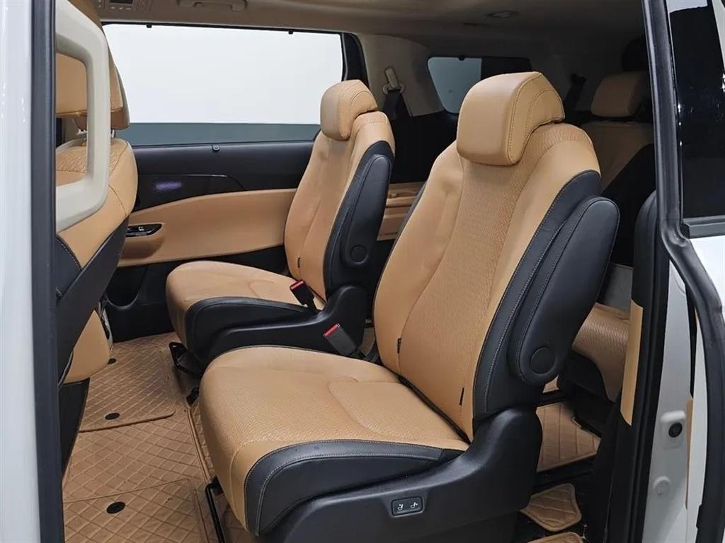 KIA Carnival - Vista 12