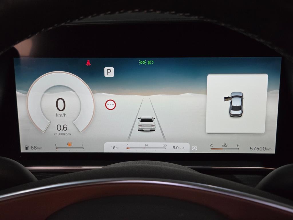 Genesis G90 - Vista 10