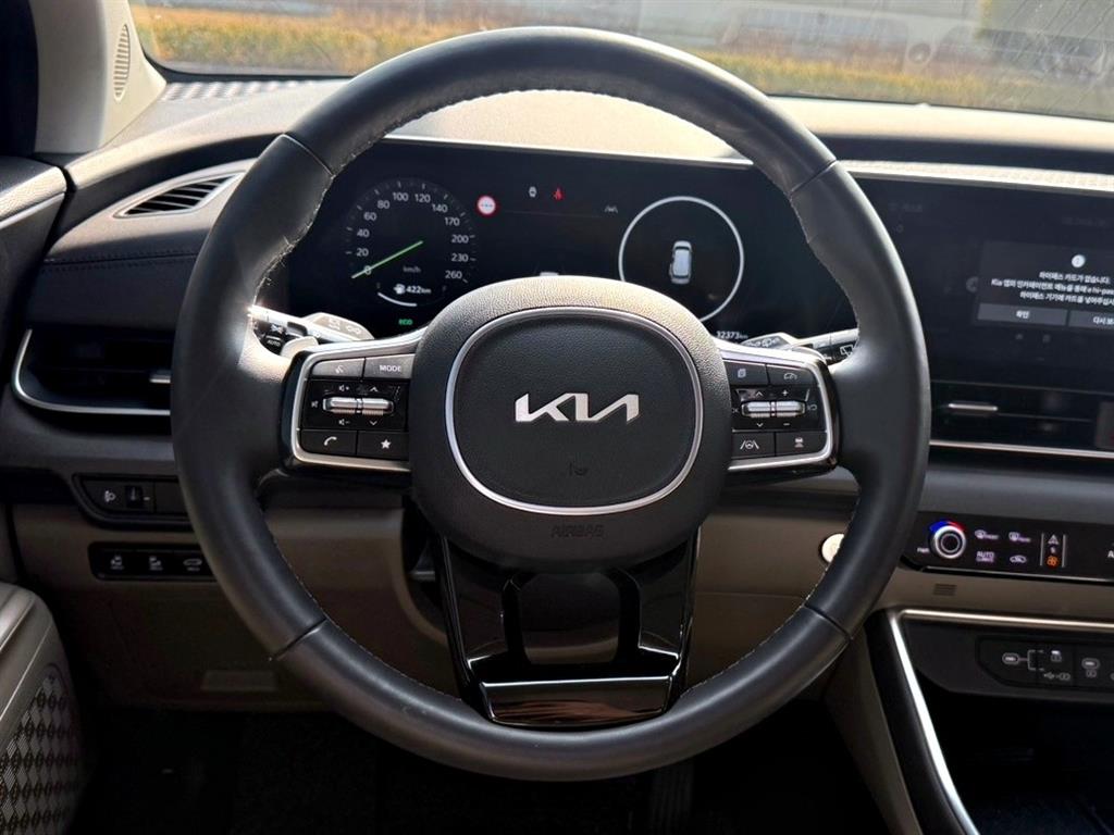 KIA Carnival - Vista 9