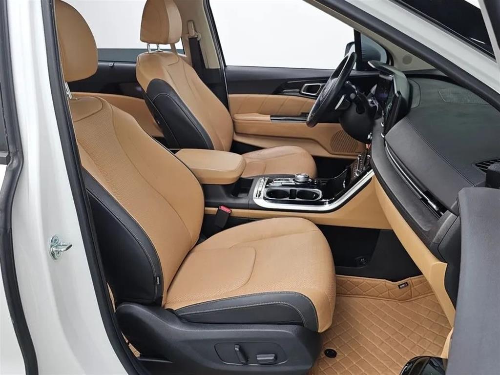 KIA Carnival - Vista 11