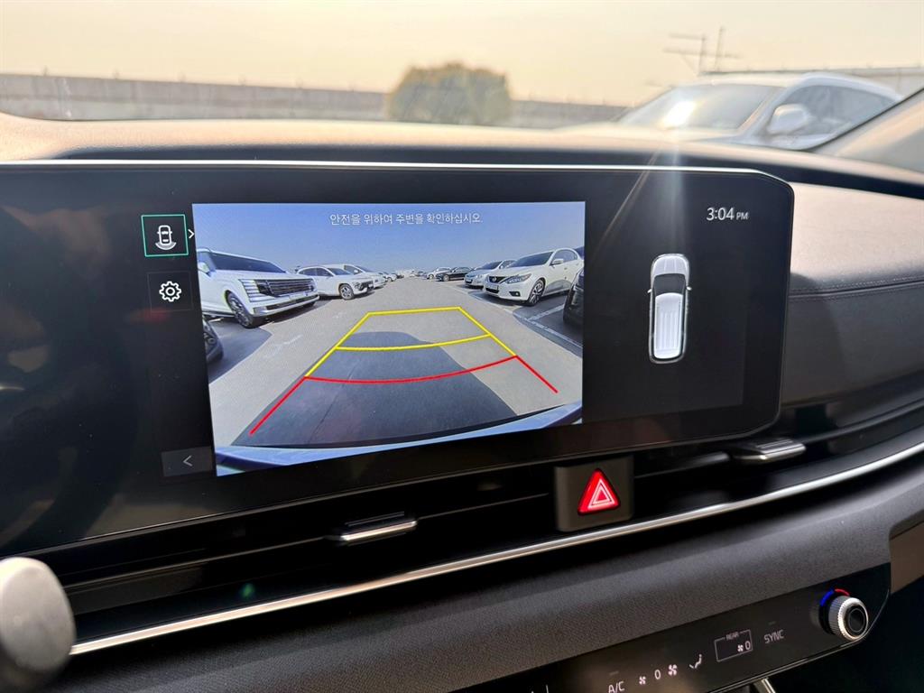 KIA Carnival - Vista 12