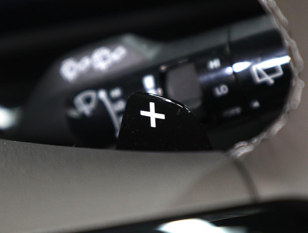 KIA Carnival - Vista 12