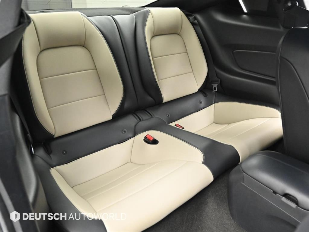 Ford Mustang - Vista 10