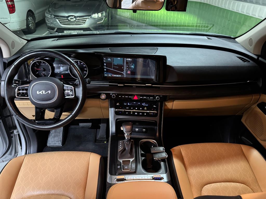 KIA Carnival - Vista 8