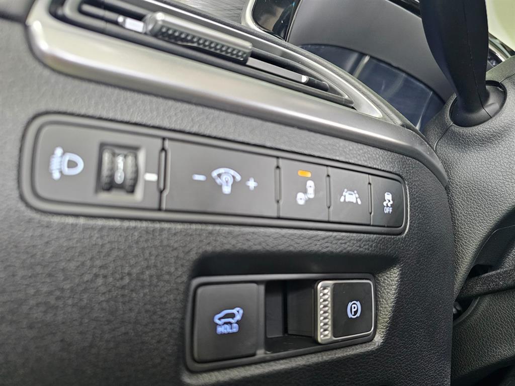 HYUNDAI Palisade - Vista 12