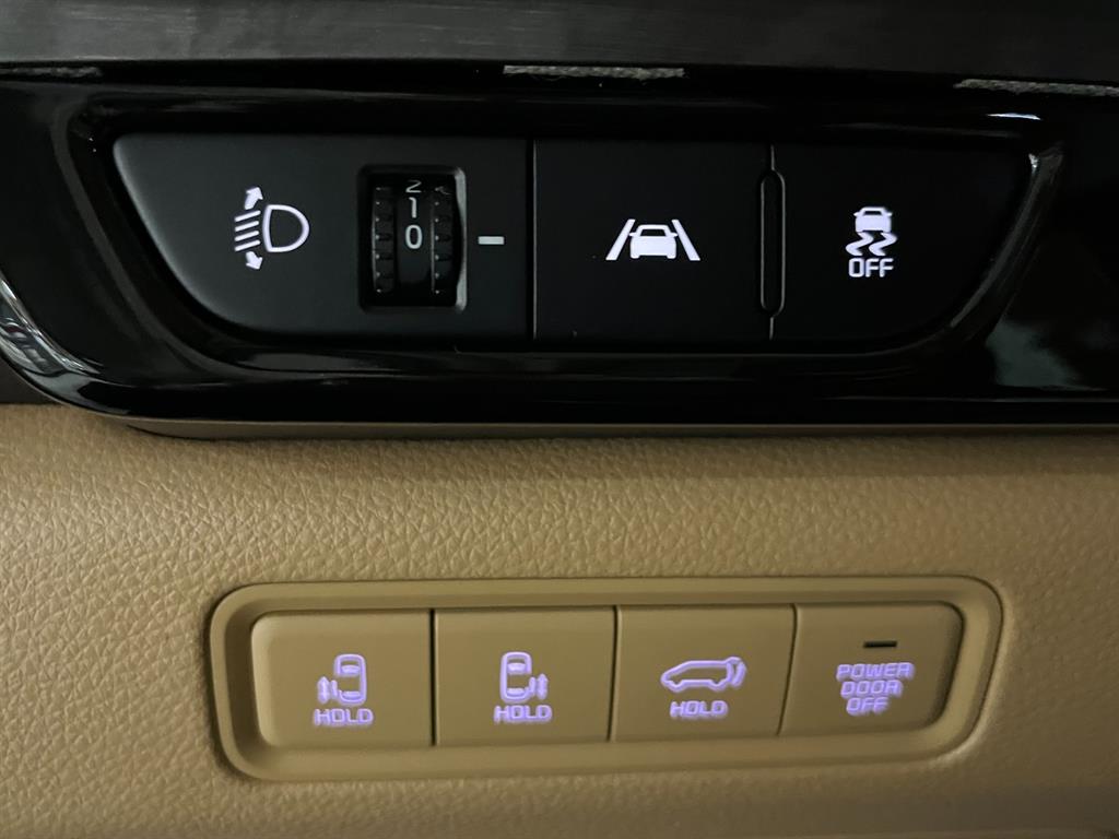 KIA Carnival - Vista 11