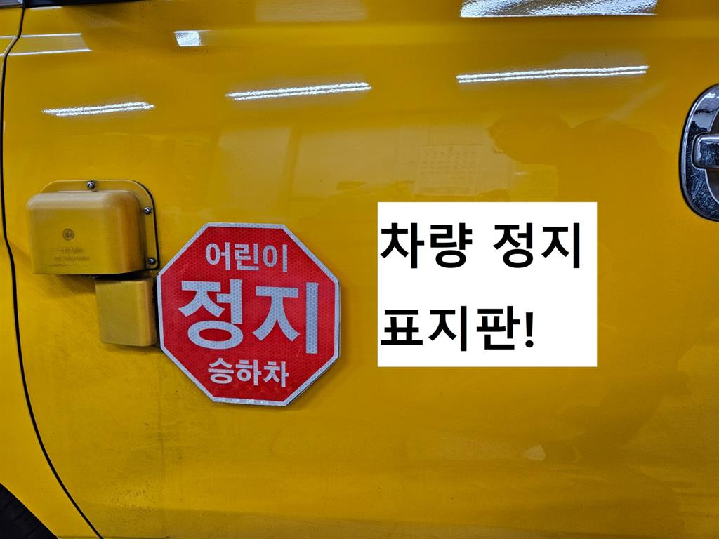 HYUNDAI Starex - Vista 4