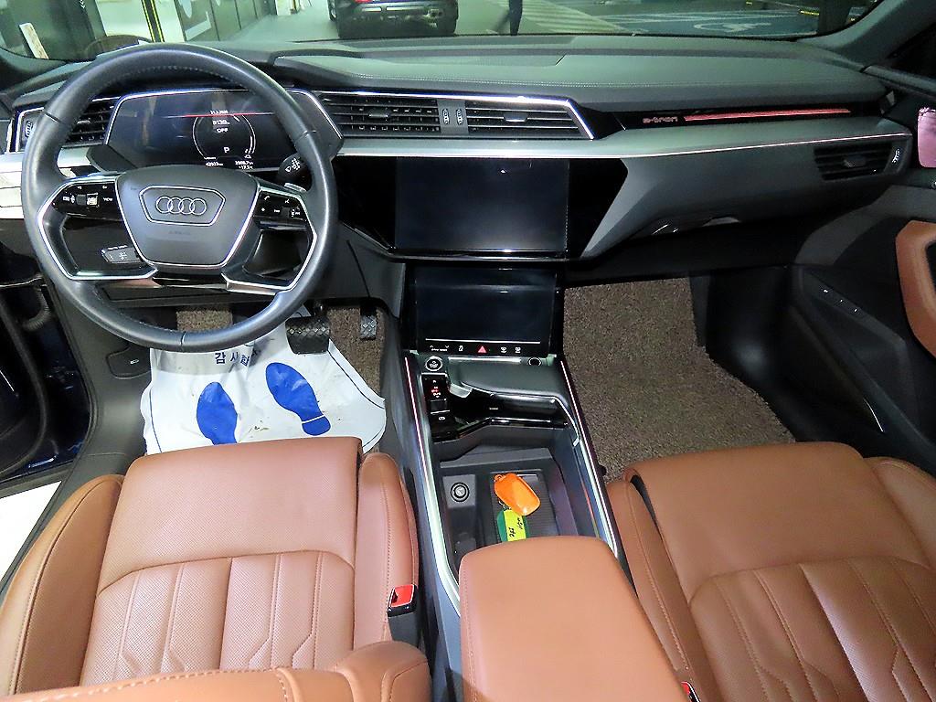 Audi e-Tron - Vista 10