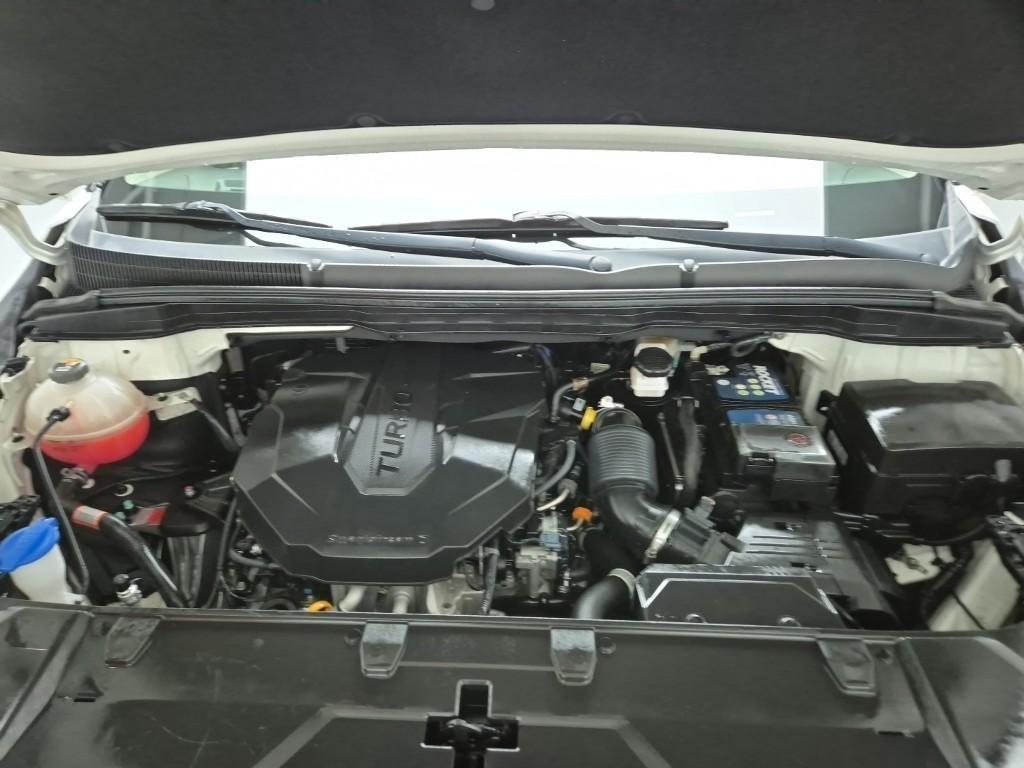 KIA Carnival - Vista 8