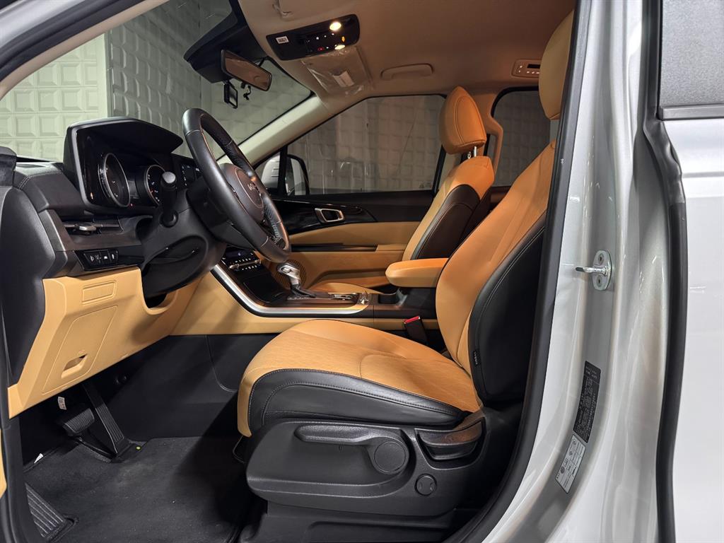 KIA Carnival - Vista 6