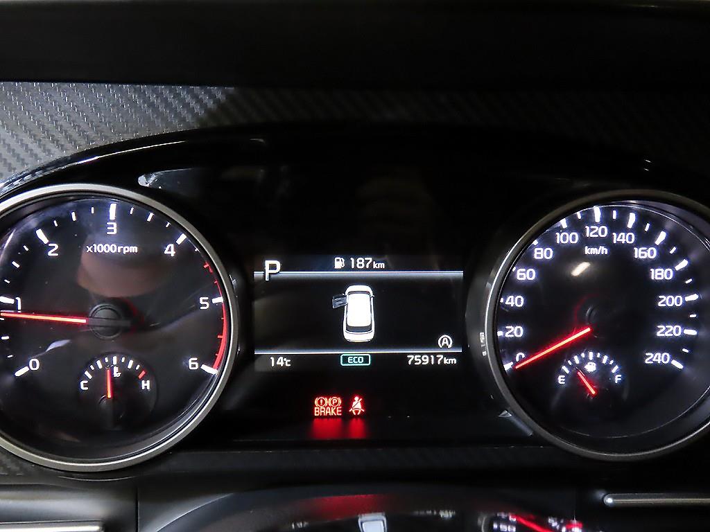 KIA Carnival - Vista 9