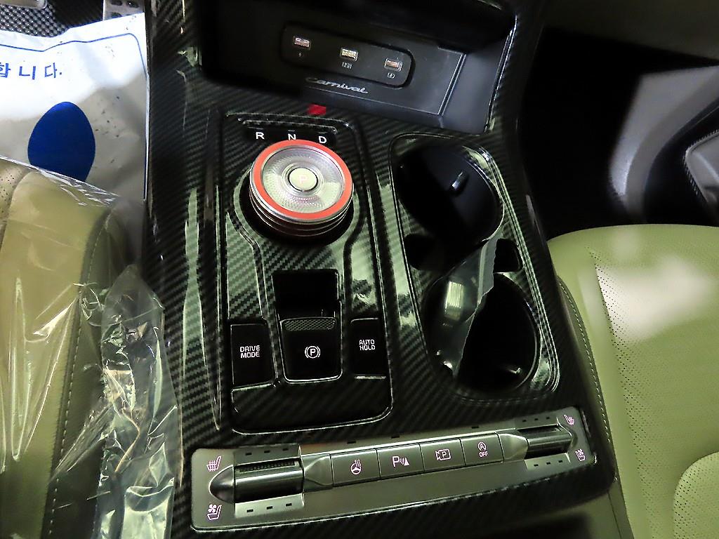 KIA Carnival - Vista 12