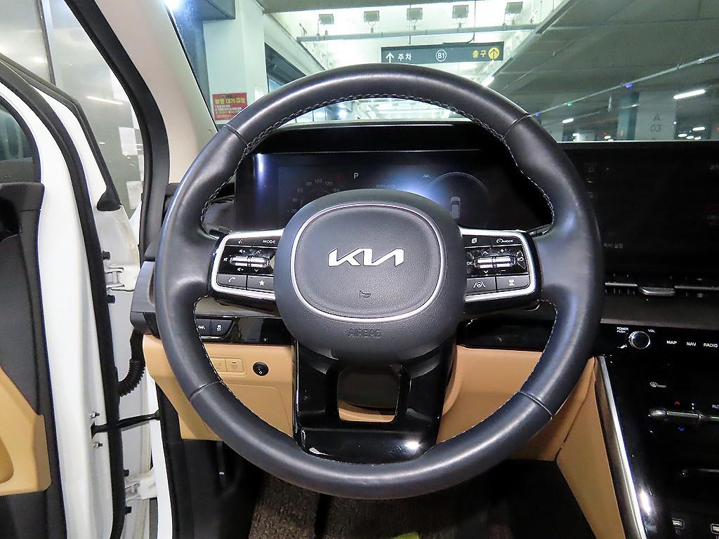 KIA Carnival - Vista 8