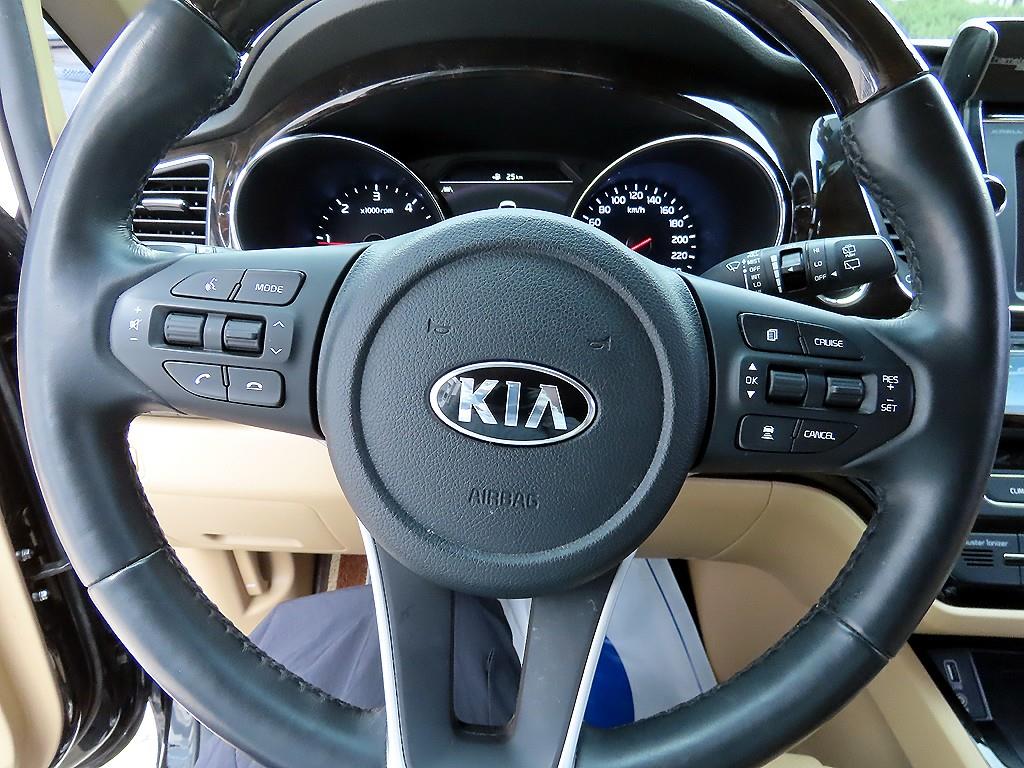 KIA Carnival - Vista 8