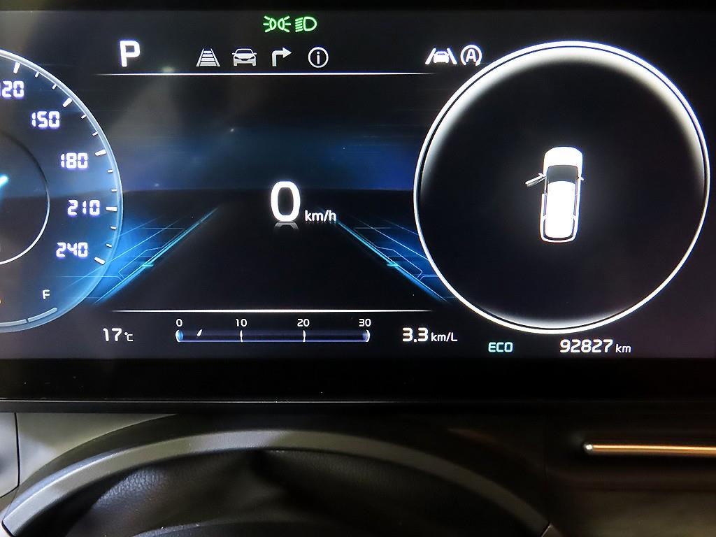 KIA Carnival - Vista 9