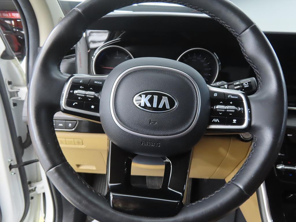 KIA Carnival - Vista 8