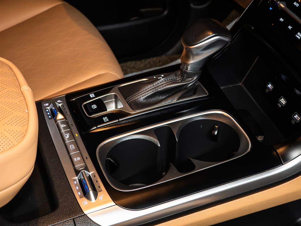 KIA Carnival - Vista 12