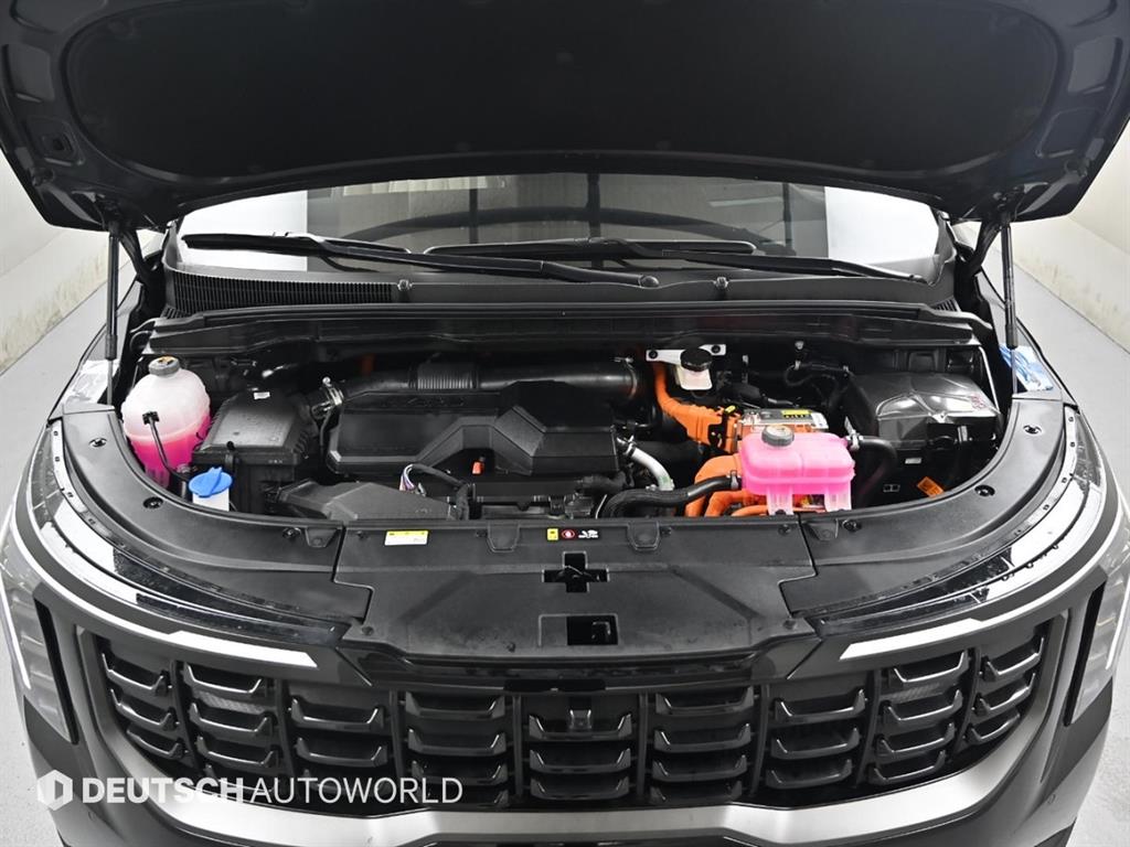 KIA Carnival - Vista 6