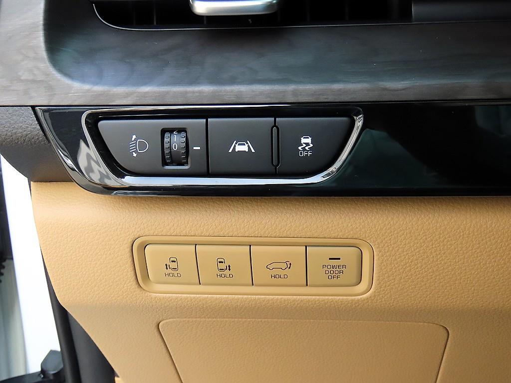 KIA Carnival - Vista 12