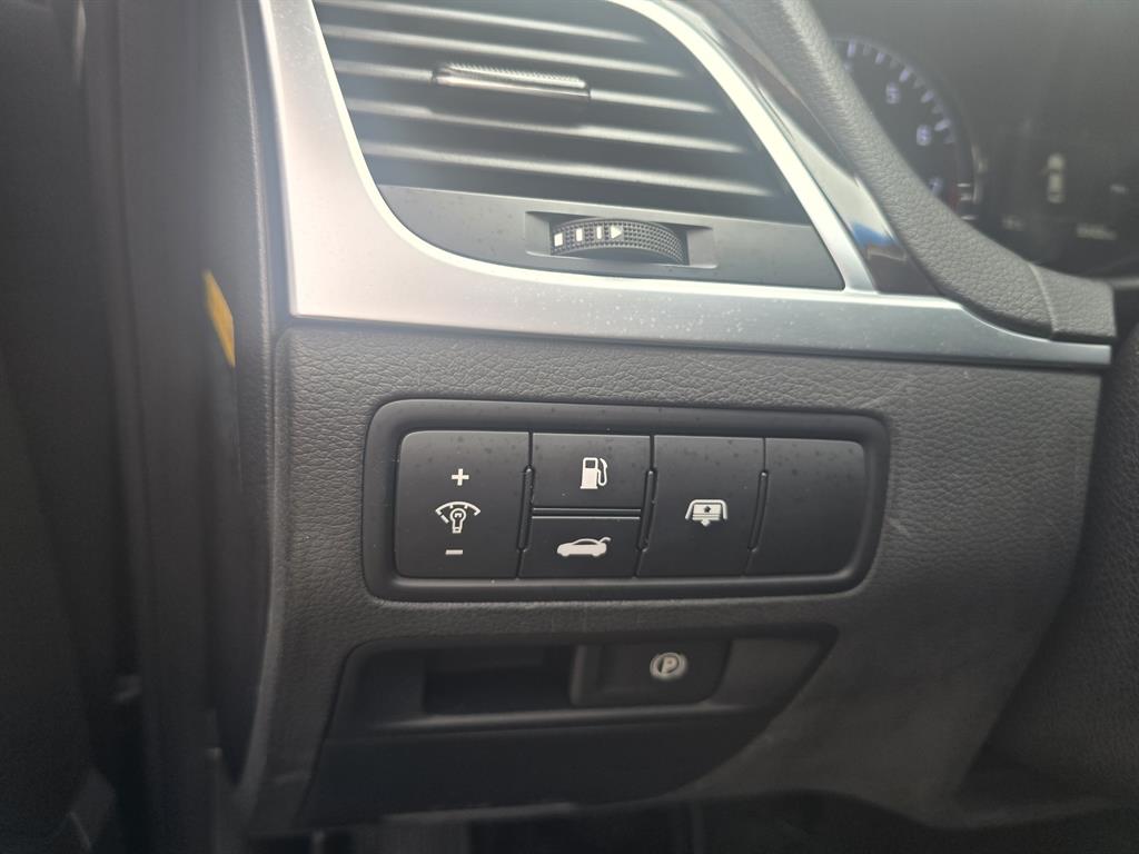 HYUNDAI Genesis - Vista 11