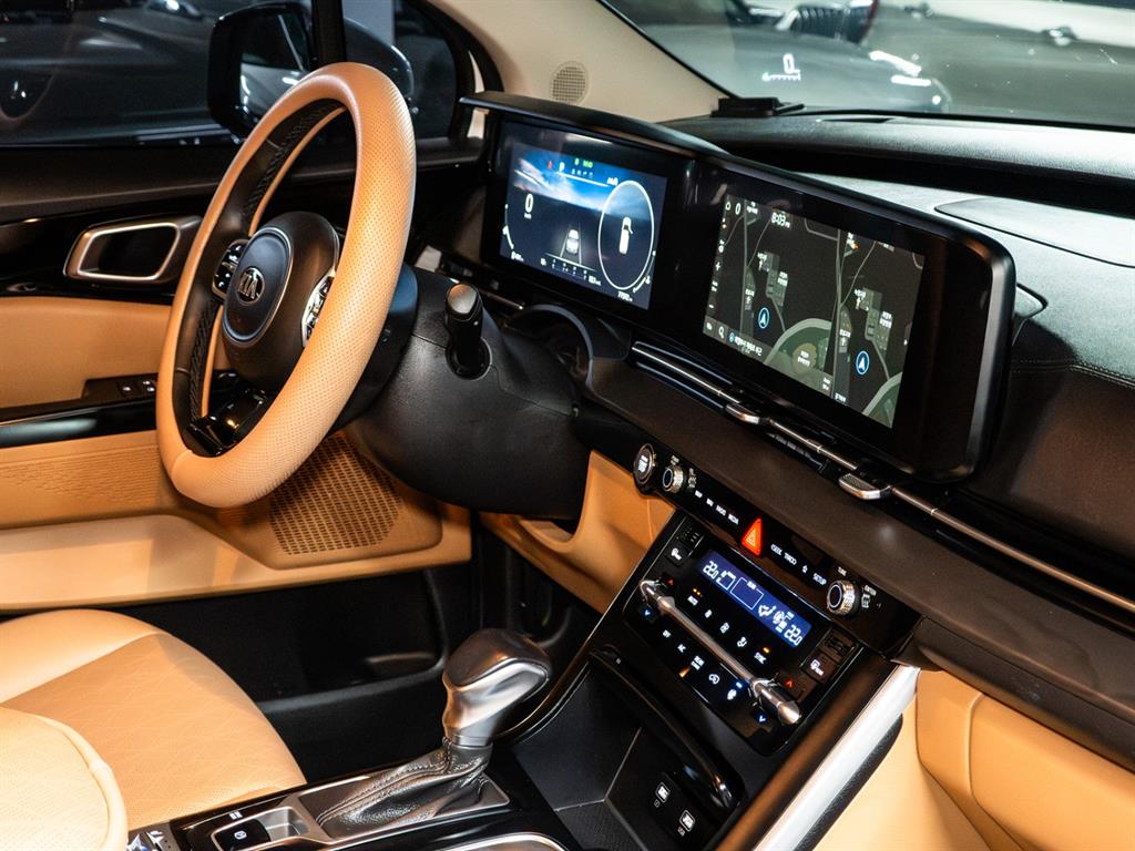 KIA Carnival - Vista 11