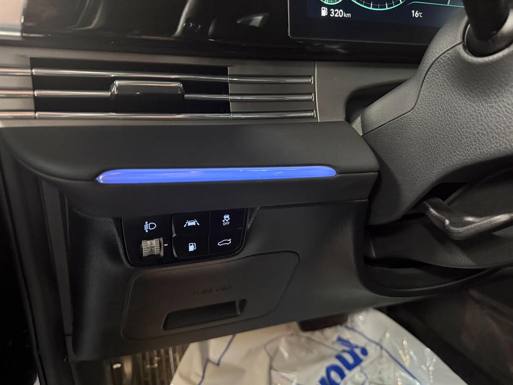 HYUNDAI Grandeur - Vista 12