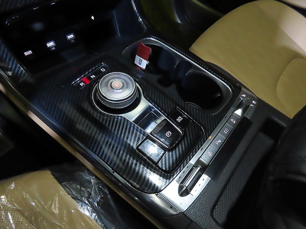 KIA Carnival - Vista 12