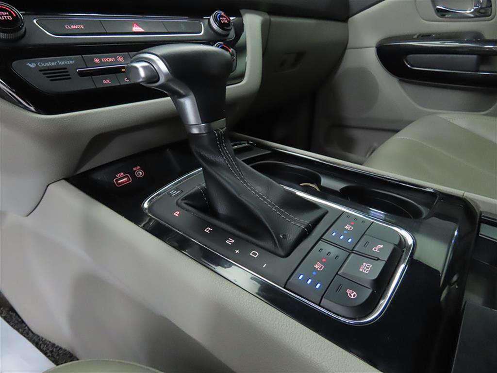 KIA Carnival - Vista 9