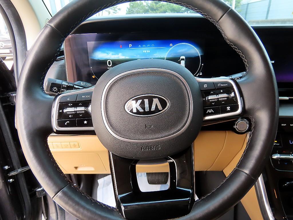 KIA Carnival - Vista 9