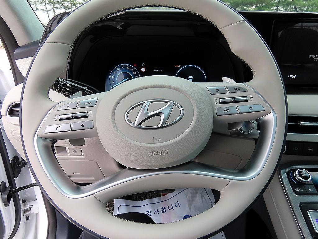 HYUNDAI Palisade - Vista 8