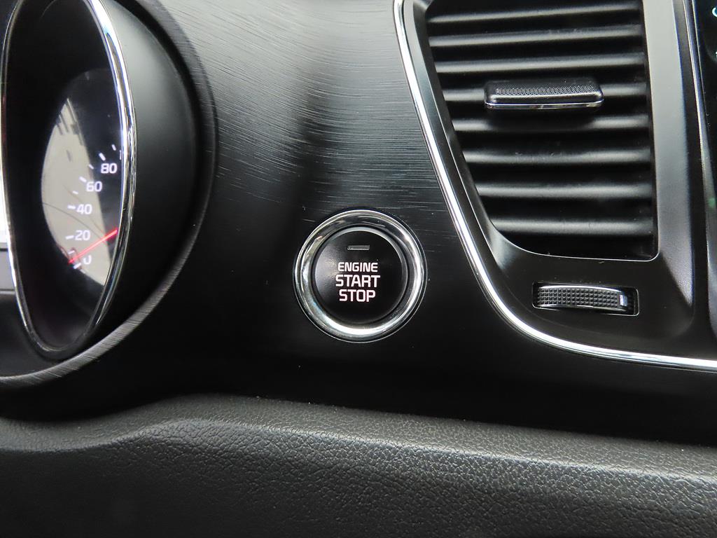 KIA Carnival - Vista 12