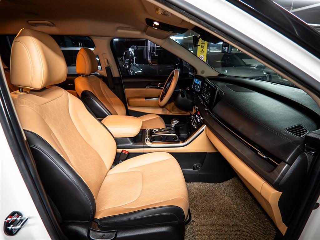 KIA Carnival - Vista 10