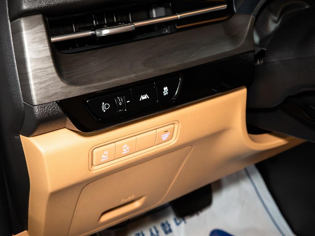 KIA Carnival - Vista 9